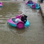 phoca_thumb_m_2. den vp 33 Fotogalerie